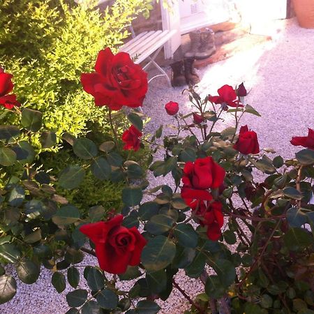 L'Ecrin Bed & Breakfast Villeneuve-sur-Lot Exterior photo